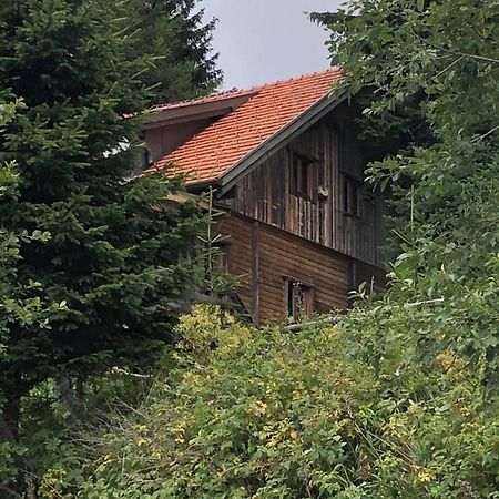Haus Hanna Wolfsberg Exterior photo